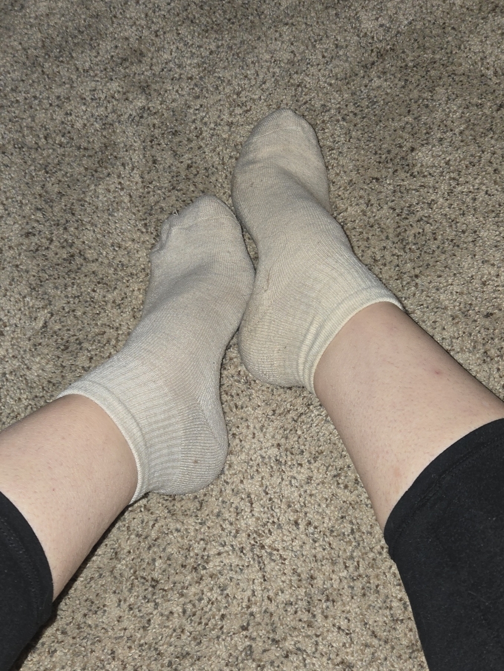 WW Women's Ankle Socks Or Well Worn Crew Socks